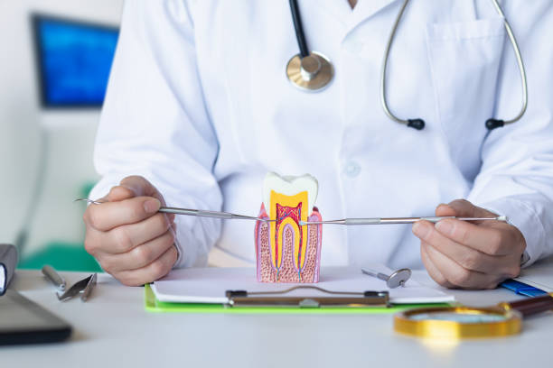 Best Emergency Orthodontic Repairs in Eveleth, MN
